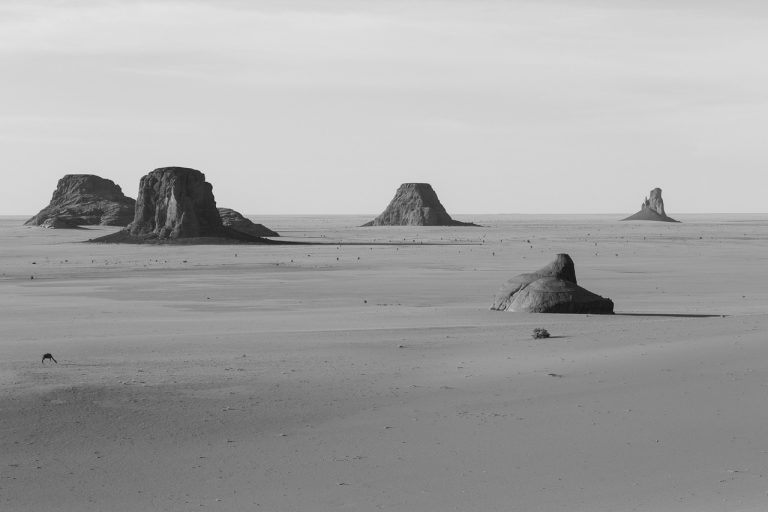 Il Grande Silenzio. Mostra fotografica di Roberto Cattini